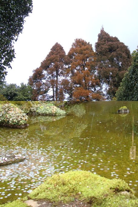 3-3銀閣寺10.jpg