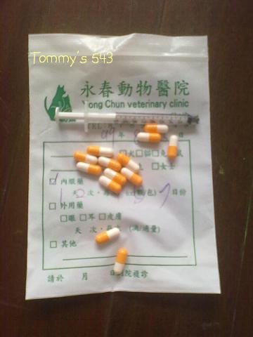 20100805516.jpg