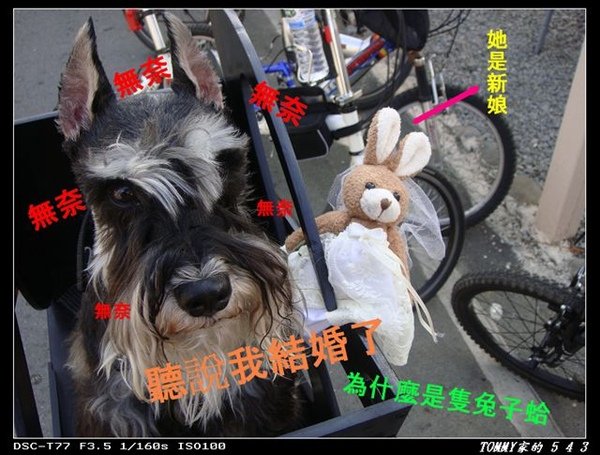DSC00057_nEO_IMG.jpg
