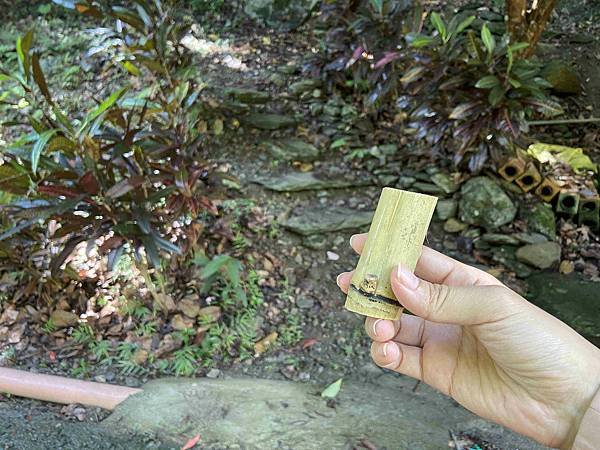 泰雅部落.金岳部落 (16).jpg