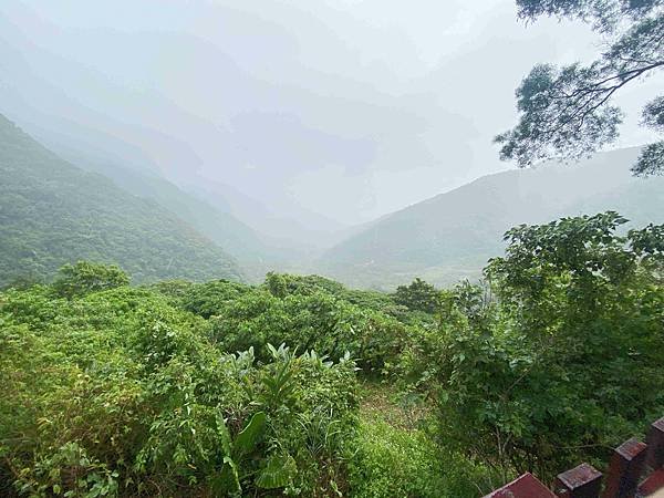泰雅部落.金岳部落 (33).jpg