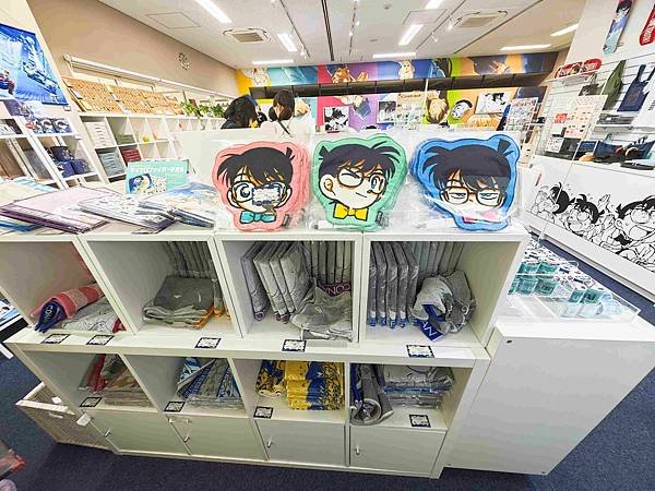 鳥取砂丘機場(柯南機場) (47).jpg