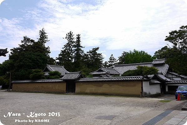 P1090996.JPG
