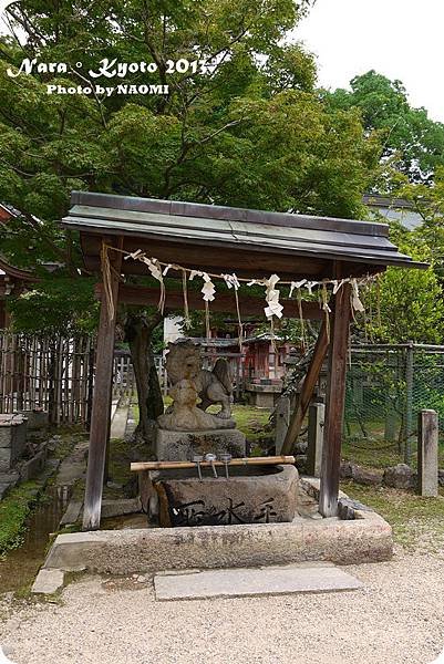 P1090997.JPG