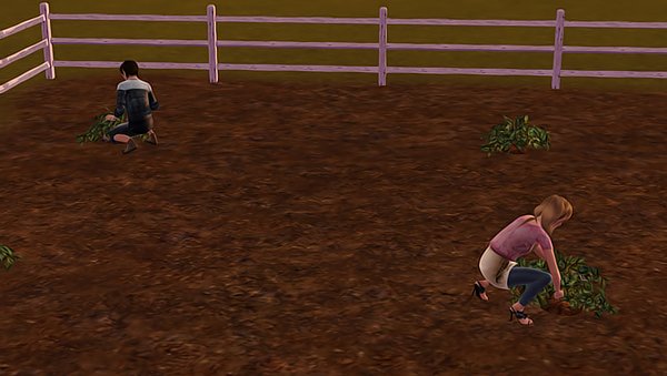 Screenshot-259