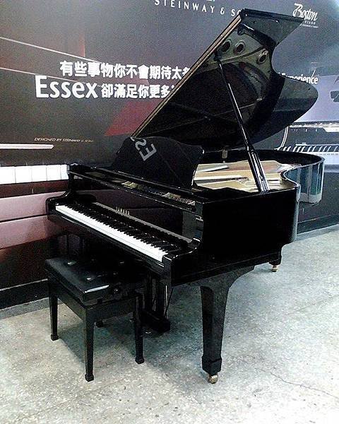 本中心專用出租琴 YAMAHA C5