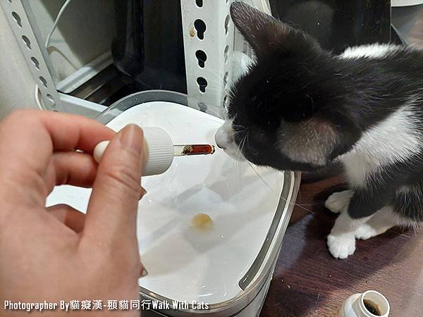 汪咪博士寵物專用體內環保滴劑，輕鬆解決異味問題，貓狗皆適用喔