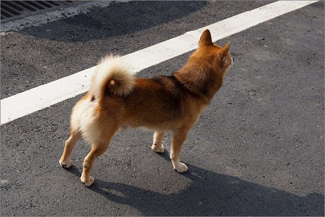 蚵仔寮漁港_30.jpg