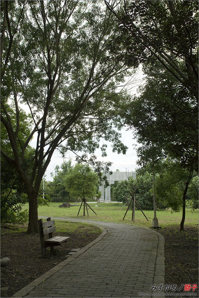 高雄都會公園_28
