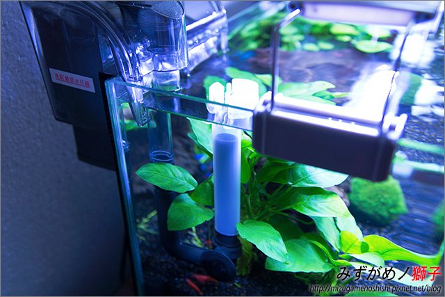 首創蝦缸_16.jpg