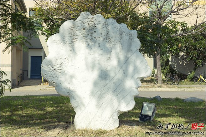 高雄大學_7.jpg