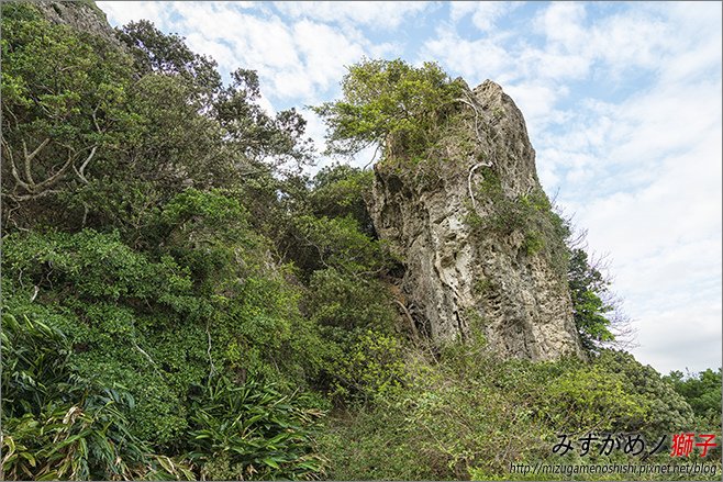 社頂自然公園_1.jpg