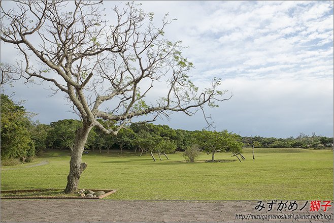 社頂自然公園_8.jpg