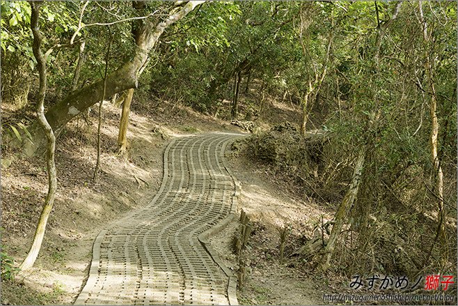 社頂自然公園_12.jpg