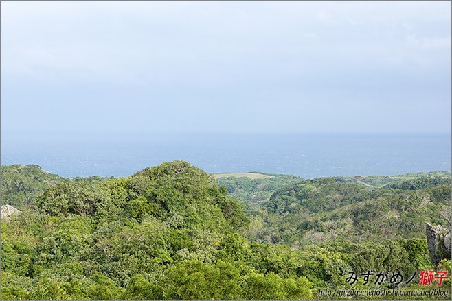 社頂自然公園_20.jpg