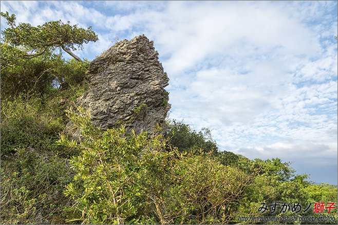 社頂自然公園_18.jpg