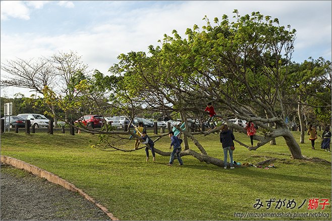 社頂自然公園_31.jpg