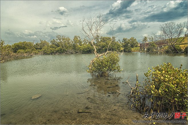 海洋濕地公園_1.jpg