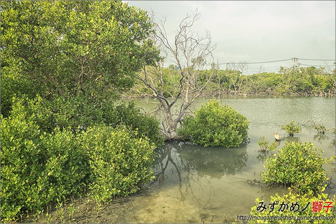 海洋濕地公園_7.jpg