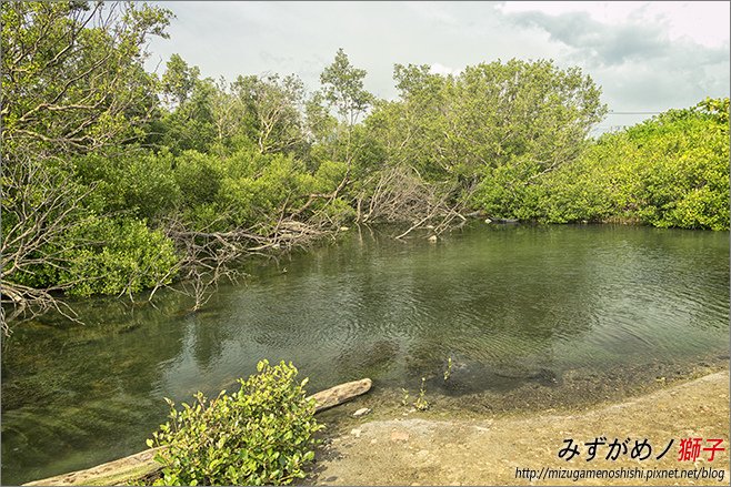 海洋濕地公園_8.jpg