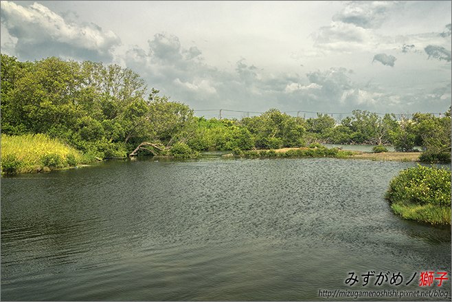 海洋濕地公園_12.jpg