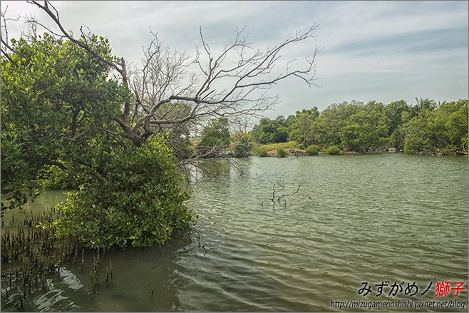 海洋濕地公園_25.jpg