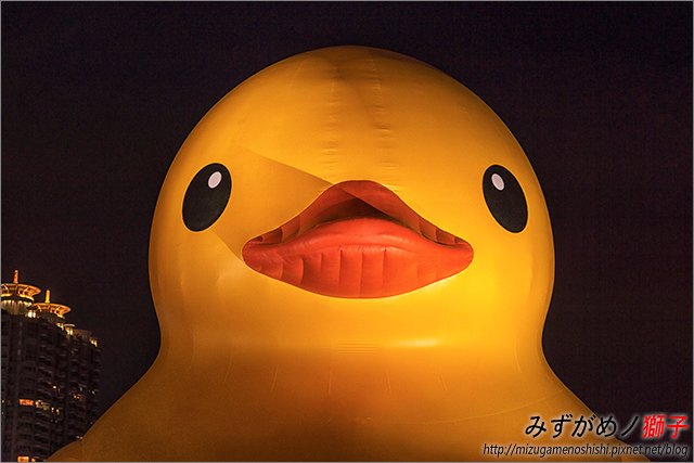 高雄黃色小鴨_34.jpg