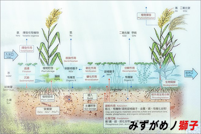 崎峰濕地公園_6.jpg