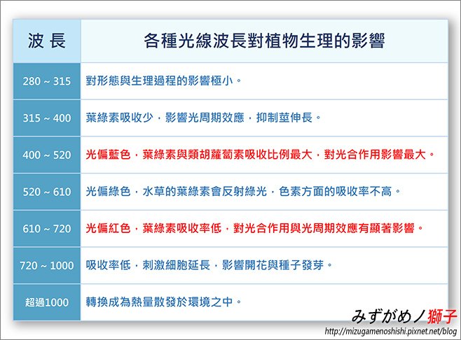 水草燈具與水草生長的關聯性_8.jpg