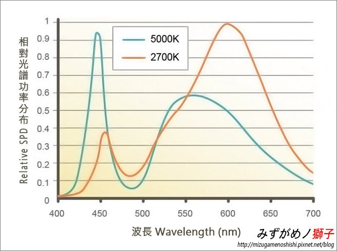 水草燈具與水草生長的關聯性_5.jpg