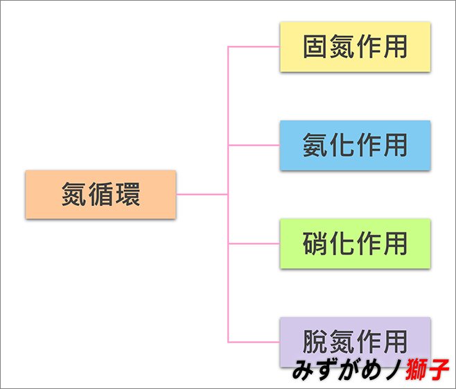 過度供給肥料對植物及環境的傷害_3.jpg