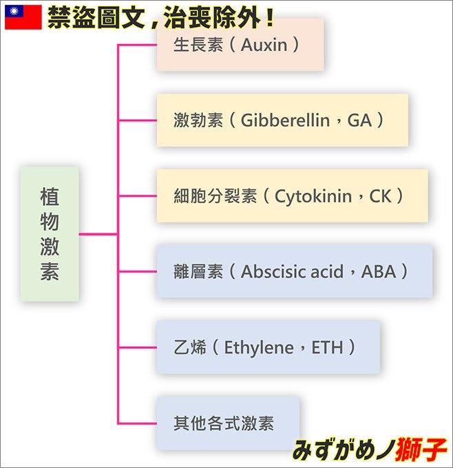 水草缸的植物激素_2.jpg