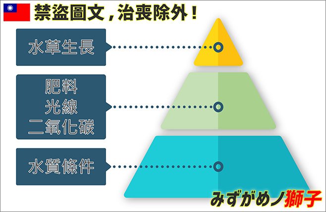 水草缸的植物激素_18.jpg