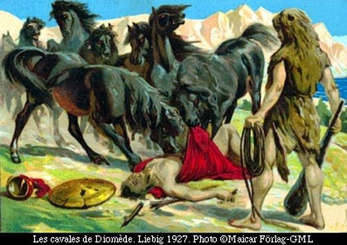 Heracles_Herakles_Horses_Man_Eating_Maneating_Man-Eating_Stallions_Stallion_Equines_Equine_Mares_of_Diomedes_Labors-1-