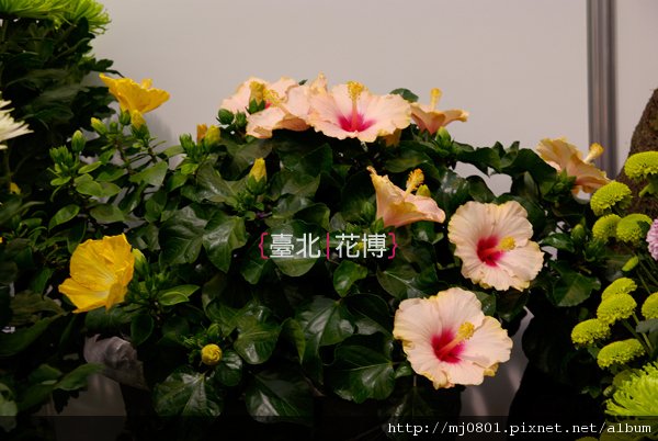 花博-11.jpg