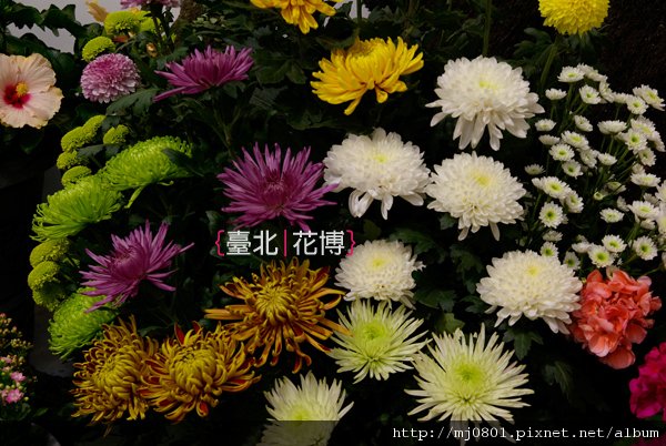 花博-10.jpg