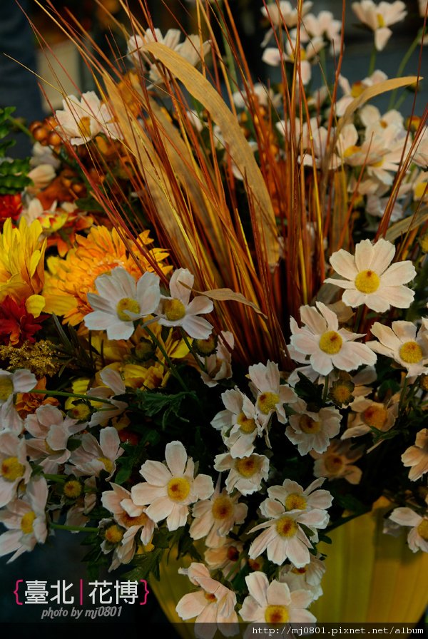 花博-5.jpg