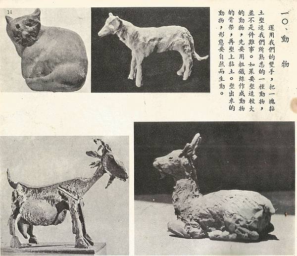 1美-5上-59-10動物.jpg