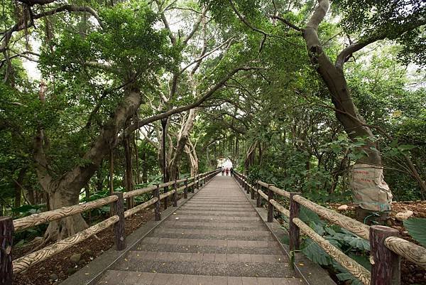 賞景健康步道階梯.jpg