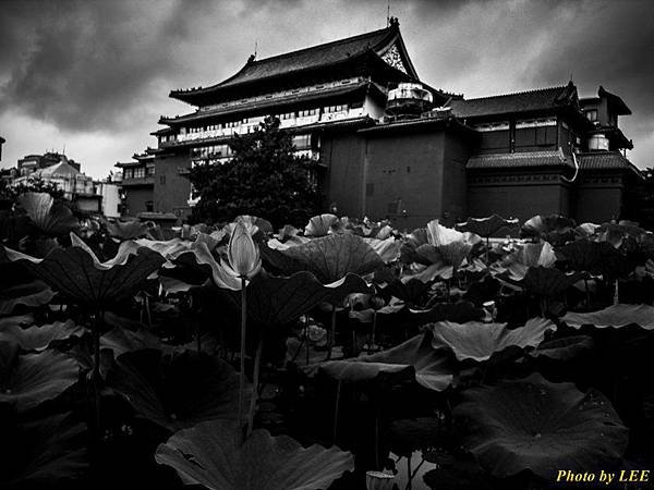 20120603-069