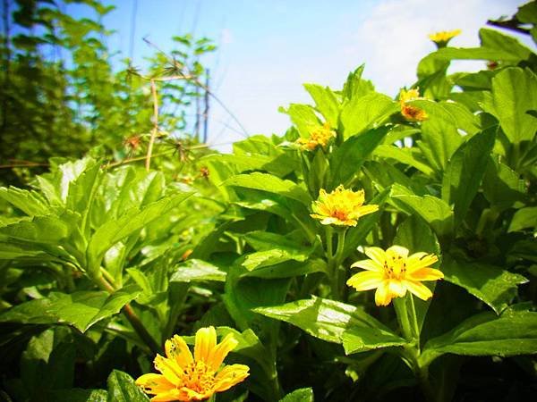 20140625-0409.JPG