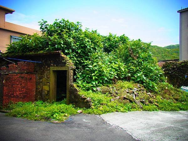 20140625-0434.JPG
