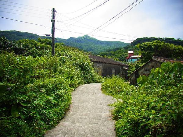 20140625-0445.JPG