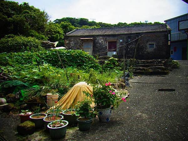 20140625-0485.JPG
