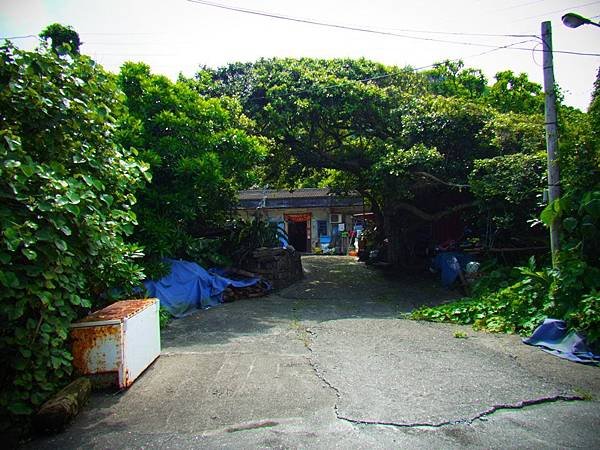 20140625-0560.JPG