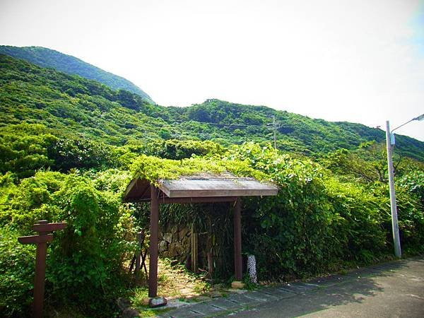 20140625-0570.JPG