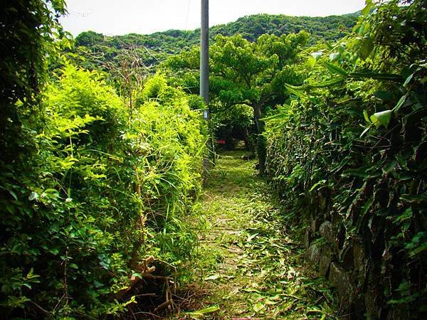 20140625-0576.JPG