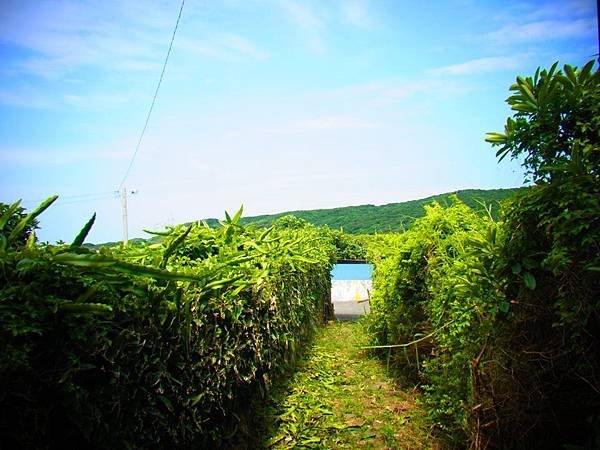 20140625-0578.JPG