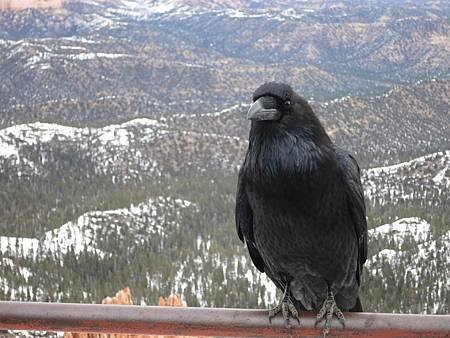 IMG_0876.JPG
