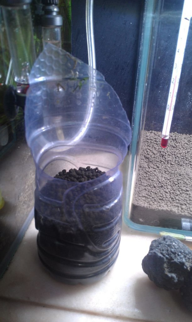 IMAG2809.jpg